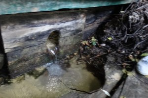 Триполье и затопленная церковь под Ржищевом